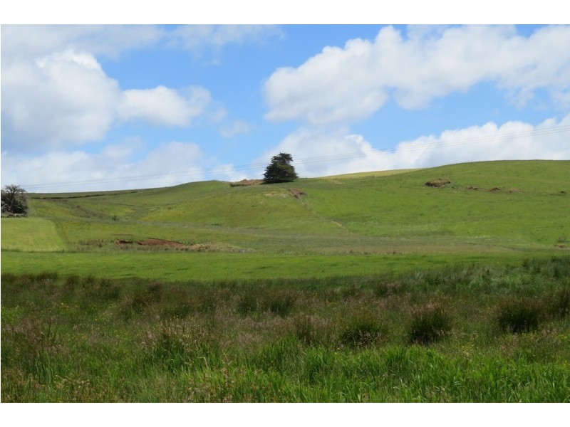 156 Cables Road, Sheffield TAS 7306