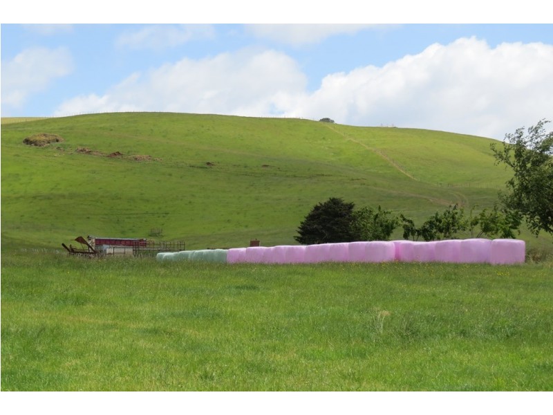 156 Cables Road, Sheffield TAS 7306