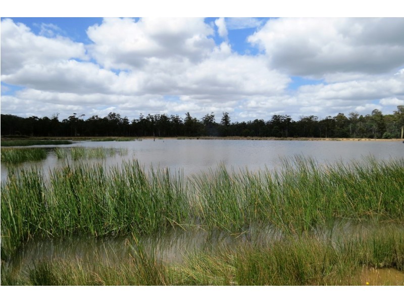 Lot 1 Cornelius Road, Sassafras TAS 7307