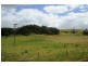 Lot 1 Cornelius Road, Sassafras TAS 7307