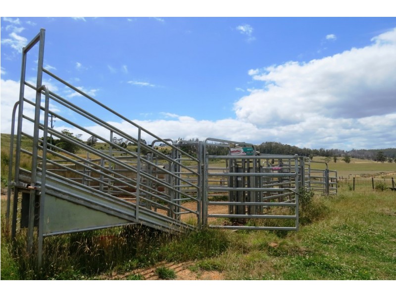 Lot 1 Cornelius Road, Sassafras TAS 7307