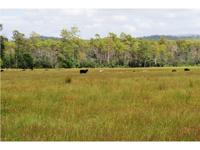 Lot 1 Cornelius Road, Sassafras TAS 7307