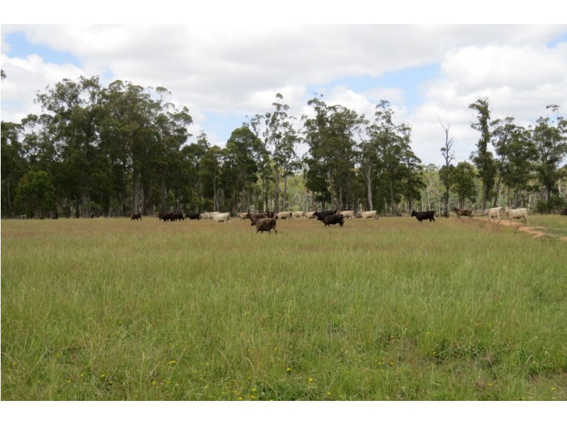 Lot 1 Cornelius Road, Sassafras TAS 7307