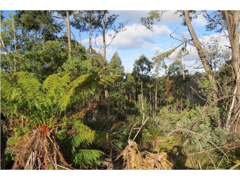 . Tylers Road, Sheffield TAS 7306