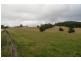 11 Cromwells Road, West Kentish TAS 7306