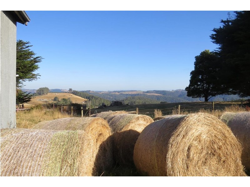 835 West Kentish Road, West Kentish TAS 7306