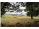 835 West Kentish Road, West Kentish TAS 7306