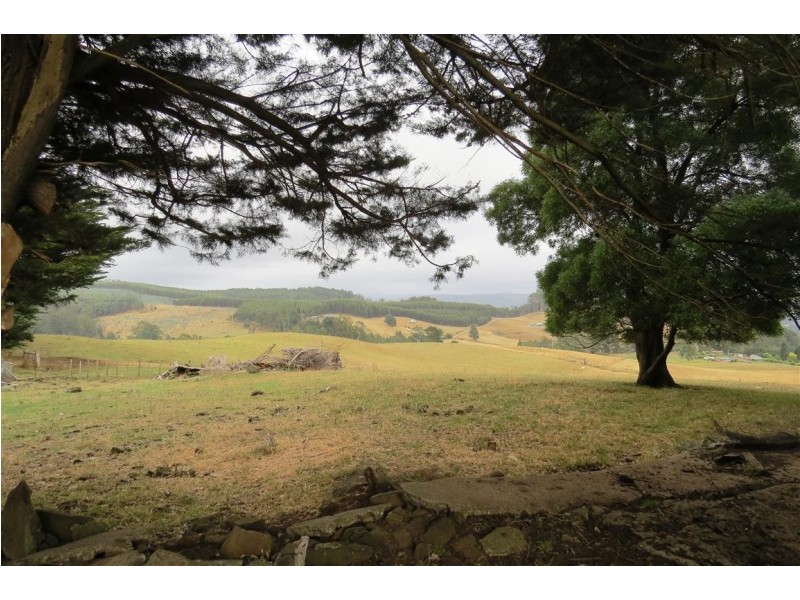 835 West Kentish Road, West Kentish TAS 7306