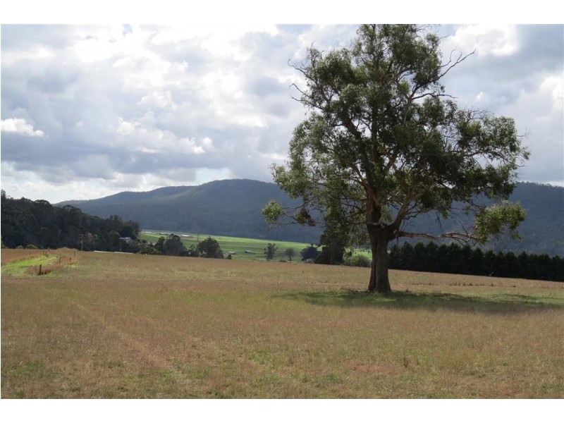 . Weegena Road, Kimberley TAS 7304