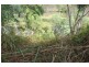 . Weegena Road, Kimberley TAS 7304