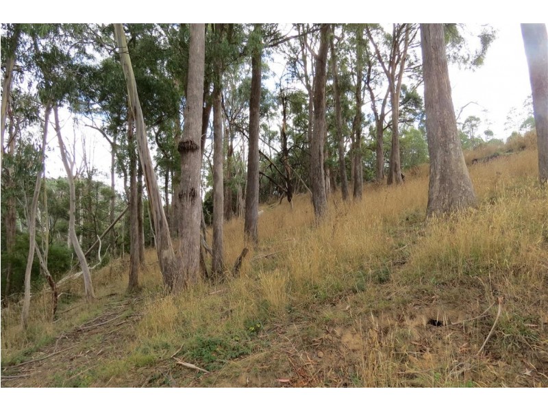 . Weegena Road, Kimberley TAS 7304
