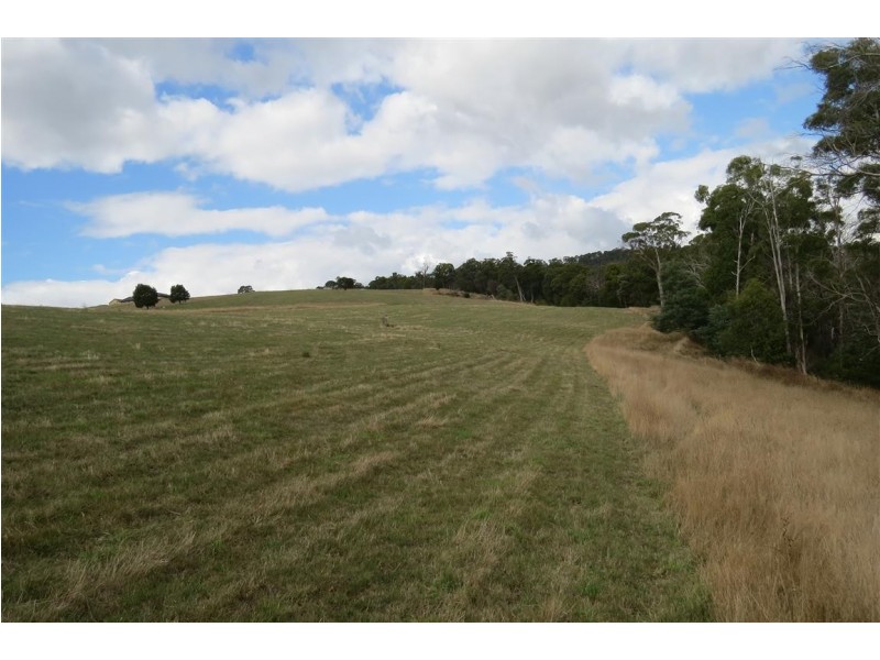 . Weegena Road, Kimberley TAS 7304
