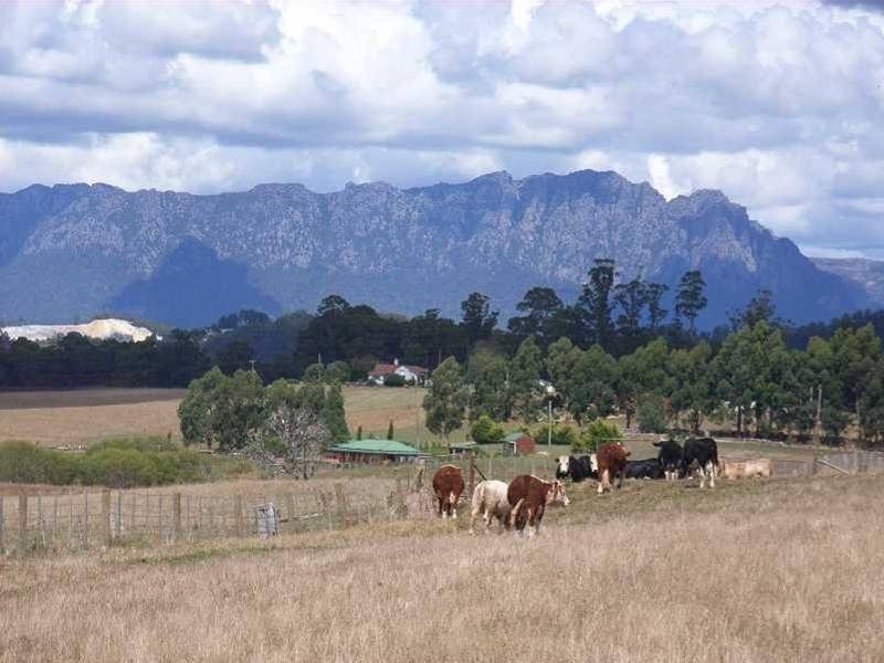 119 Moreys Road, Barrington TAS 7306