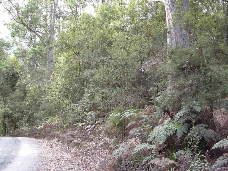 . James Road, Spreyton TAS 7310