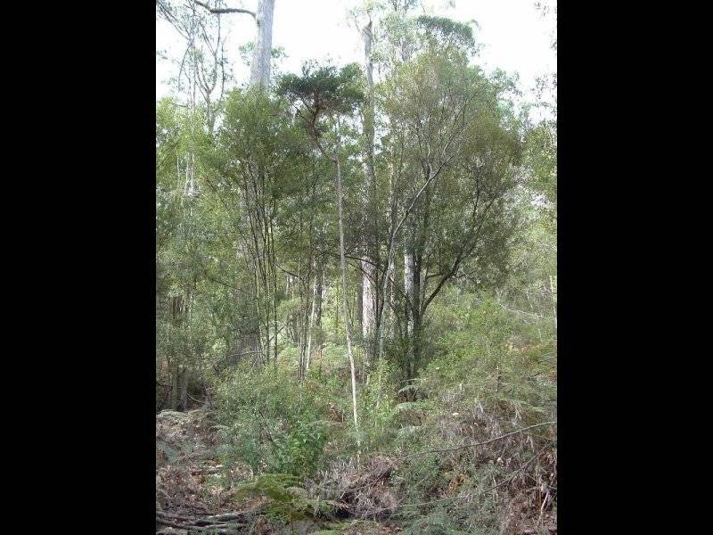 . James Road, Spreyton TAS 7310