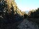 0 Tylers Road, Sheffield TAS 7306
