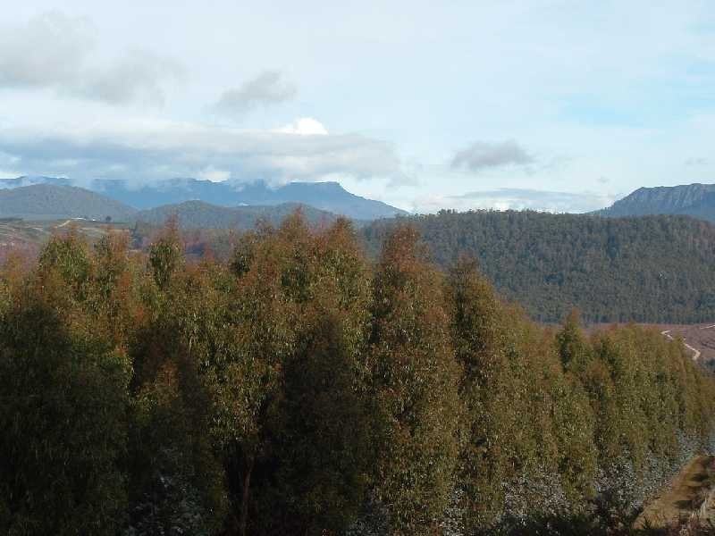 0 Tylers Road, Sheffield TAS 7306
