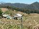 39 Devils Gate Road, Barrington TAS 7306