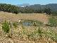 39 Devils Gate Road, Barrington TAS 7306