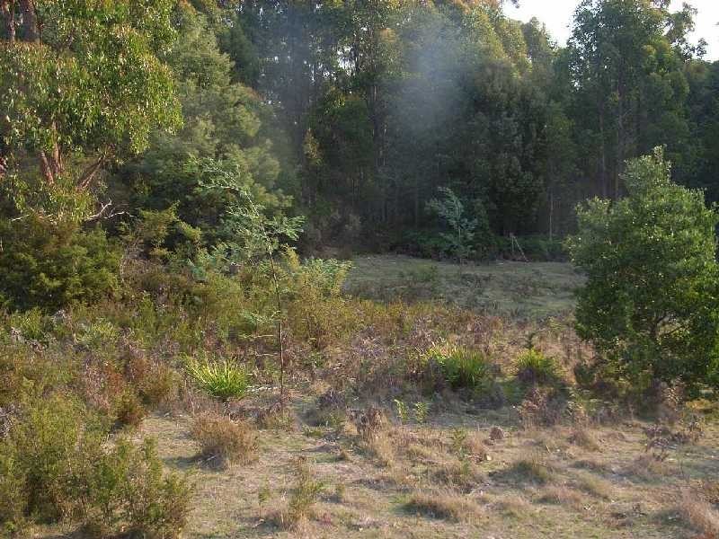 Lot 5  Dawkins Road, Lower Beulah TAS 7306