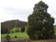 Lot 5  Dawkins Road, Lower Beulah TAS 7306