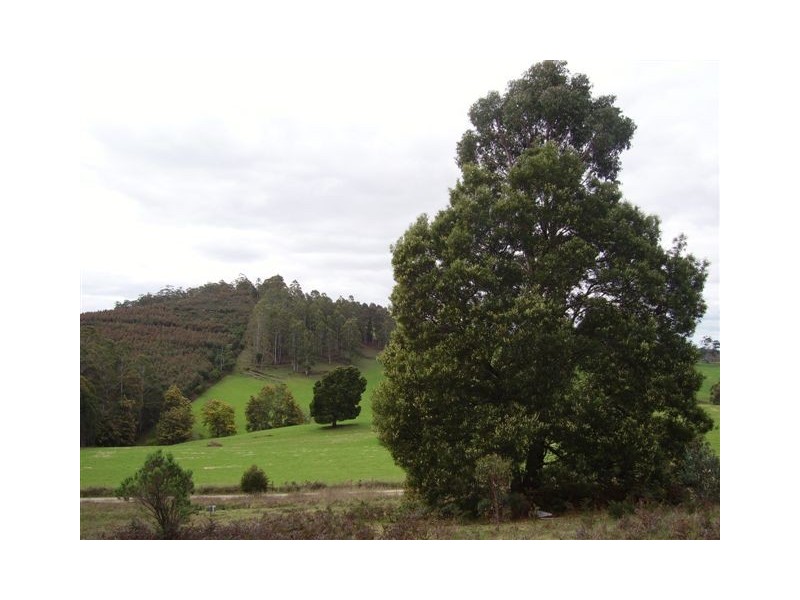 Lot 5  Dawkins Road, Lower Beulah TAS 7306