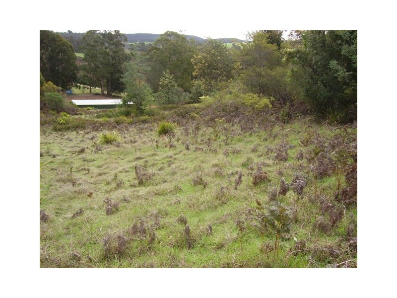 Lot 5  Dawkins Road, Lower Beulah TAS 7306