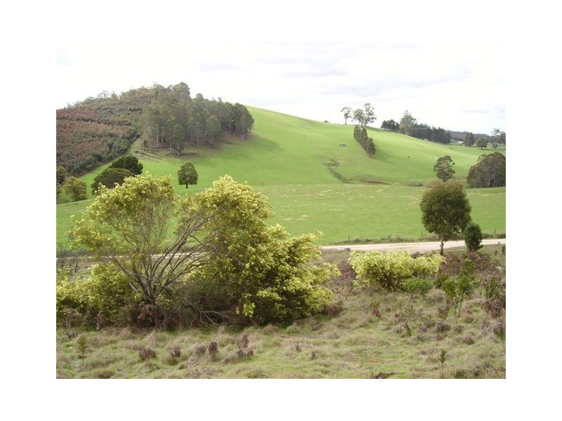 Lot 5  Dawkins Road, Lower Beulah TAS 7306