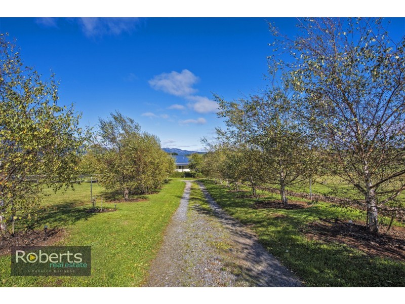 560 Nowhere Else Road, West Kentish TAS 7306