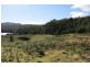 . Moina Road, Moina TAS 7310
