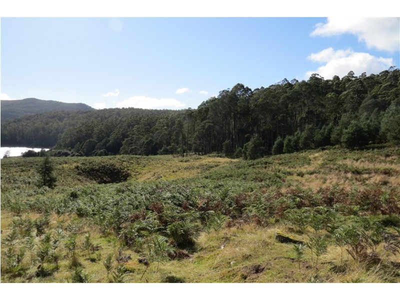 . Moina Road, Moina TAS 7310