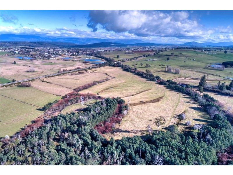 44 Grigg Street, Deloraine TAS 7304