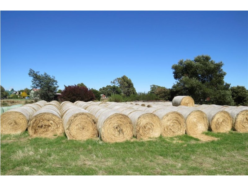 44 Grigg Street, Deloraine TAS 7304