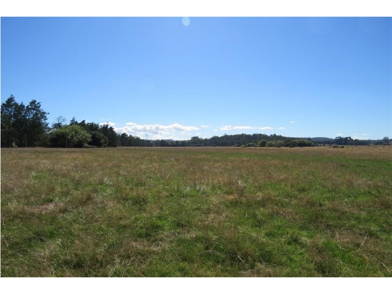 44 Grigg Street, Deloraine TAS 7304