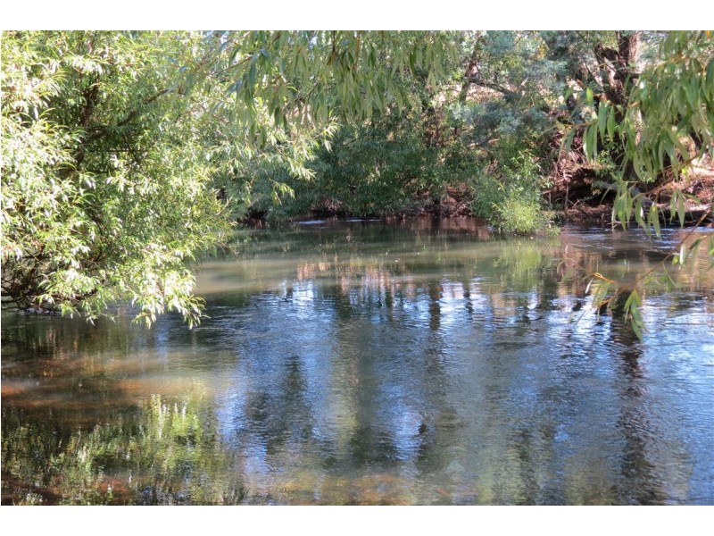 44 Grigg Street, Deloraine TAS 7304