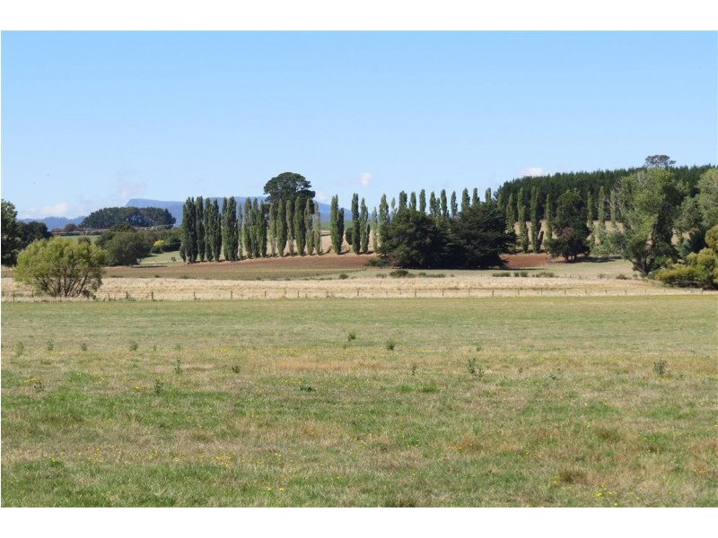 44 Grigg Street, Deloraine TAS 7304