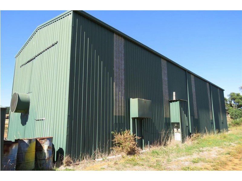 44 Grigg Street, Deloraine TAS 7304