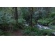 1069 Staverton Road, Staverton TAS 7306