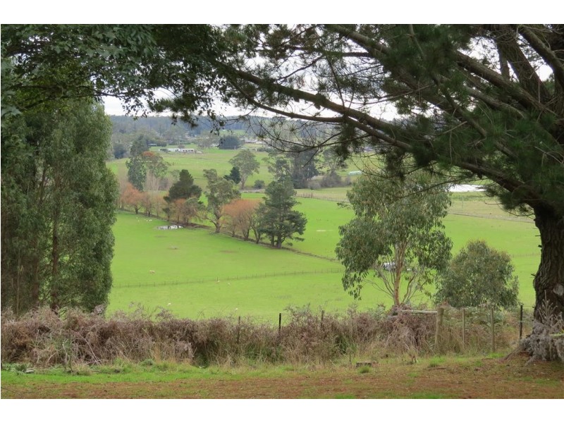139 Vinegar Hill Road, Sheffield TAS 7306