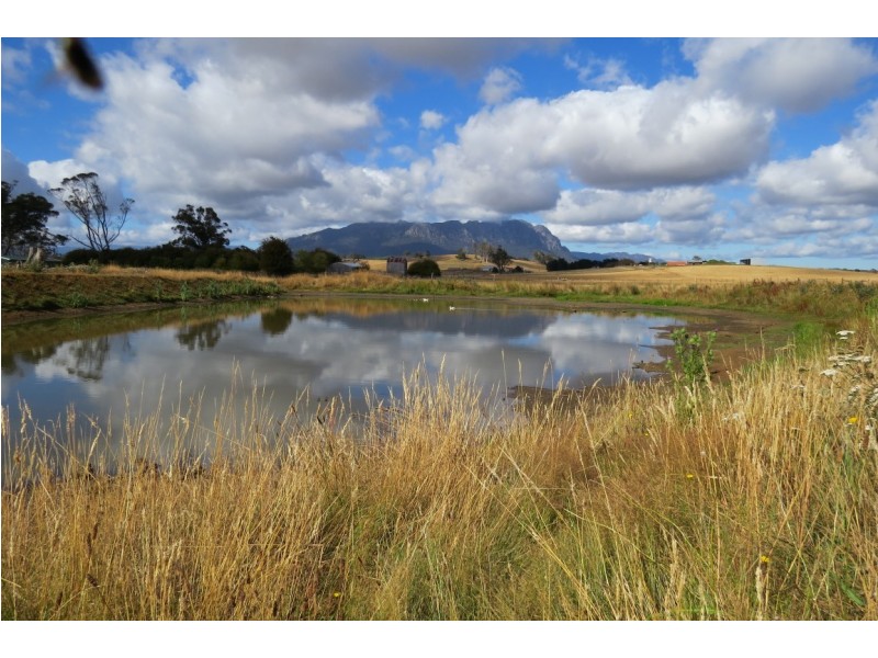 138A Main Street, Sheffield TAS 7306