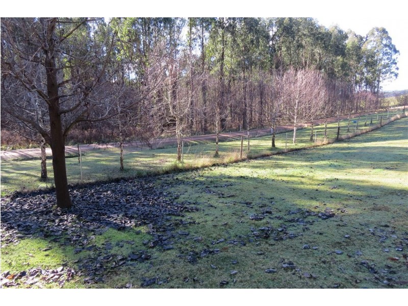 199 Dawkins Road, Lower Beulah TAS 7306