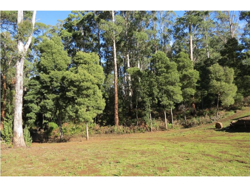 199 Dawkins Road, Lower Beulah TAS 7306