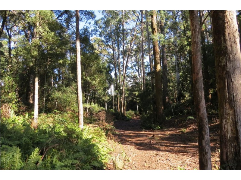 199 Dawkins Road, Lower Beulah TAS 7306