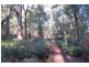 199 Dawkins Road, Lower Beulah TAS 7306