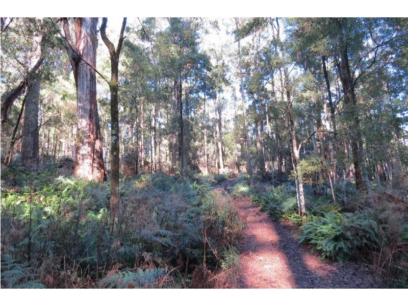 199 Dawkins Road, Lower Beulah TAS 7306