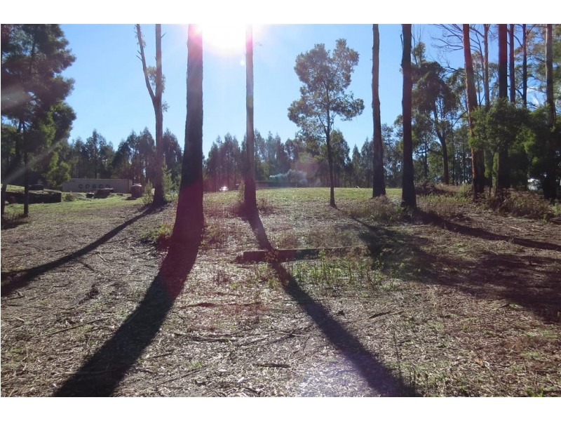 199 Dawkins Road, Lower Beulah TAS 7306