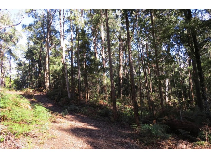 199 Dawkins Road, Lower Beulah TAS 7306