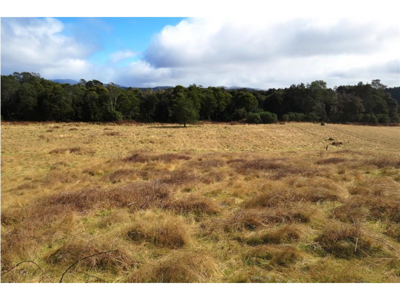83 Richards Farm Road, Staverton TAS 7306