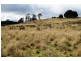 83 Richards Farm Road, Staverton TAS 7306