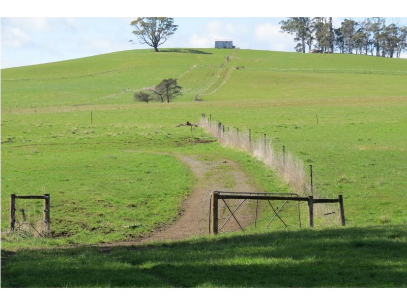 2126 Sheffield Road, Sheffield TAS 7306